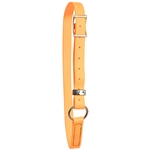 ****PHOTO SAMPLE*** $10 Mango Orange Beta Biothane Adjustable Neck Collar - Horse Size