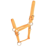 ****PHOTO SAMPLE*** $25 Mango Orange Beta Biothane Pack Horse Halter - Horse Size