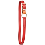 CHILI RED Beta Biothane Horse Neck Collar - Any Size, Any Style