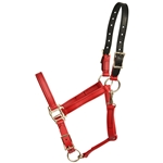 CHILI RED Beta Biothane Halter - Any Size, Any Style