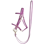 GRAPE PURPLE Beta Biothane Bridle - You Choose The Size/Style