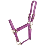 GRAPE PURPLE Beta Biothane Halter - Any Size, Any Style