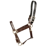 ****PHOTO SAMPLE*** $25 Brown Better Than Leather Safety Halter with Leather Breakaway Crown - Horse Size
