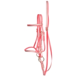 REFLLECTIVE English Bridle with Cavesson