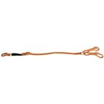 BETA BIOTHANE Anti Grazing/Daisy Reins