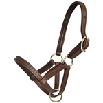 NO RUB PADDED Beta Biothane Figure 8 Style Foal Halter