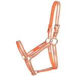 REFLECTIVE Economy Halter
