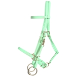 ****PHOTO SAMPLE*** $30 Mint/Seafoam Green with Pink Thread Beta Biothane Halter Bridle with Bit Hangers Headstall - Horse Size