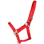 ****PHOTO SAMPLE*** $10 Red Nylon Mini Halter