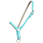 ****PHOTO SAMPLE*** $15 Baby Blue Beta Biothane with Gray No Rub Padding Grooming Halter - Pony Size
