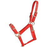 ****PHOTO SAMPLE*** $15 Red Beta Biothane Buckle Nose Halter - Large Pony Size
