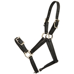 ****PHOTO SAMPLE*** $15 Black Beta Biothane Buckle Nose Halter - Mini Horse Size