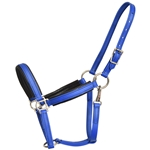 ****PHOTO SAMPLE*** $20 Royal Blue with Neoprene Padding Halter - Cob Size