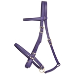 ****PHOTO SAMPLE*** $25 Purple Beta Biothane Picnic/Simple Halter Bridle Headstall - Horse Size