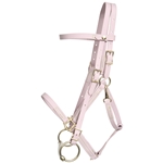 ****PHOTO SAMPLE*** $30 Lavender Beta Biothane with Lime Green Thread QUICK CHANGE HALTER BRIDLE HEADSTALL - Horse Size