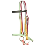 Rainbow ENGLISH BRIDLE with CAVESSON made from BETA BIOTHANE (5 Colors Mix N Match)