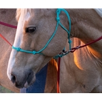 TRAINING STIFF Rope Halter