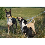 ADJUSTABLE BIOTHANE - Leash Coupler