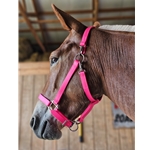 HALTER & LEAD made from BETA BIOTHANE (Solid Colored)
