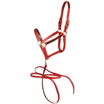 ****PHOTO SAMPLE*** $30 Chili Red Beta Biothane with Black Overlay Halter with Matching Lead - Horse Size