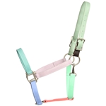 RAINBOW Beta Biothane Halter (5 Colors Mix N Match)