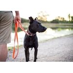 REFLECTIVE Beta BioThane Dog Leash with Traffic Handle