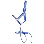 ****PHOTO SAMPLE*** $30 Royal Blue Beta Biothane with Gray Overlay Halter and Matching Lead - Horse Size