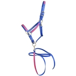 ****PHOTO SAMPLE*** $30 Royal Blue Beta Biothane with Pink Overlay Halter with Throatlatch snap and Adjustable snap with Matching Lead - Horse Size