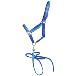 ****PHOTO SAMPLE*** $30 Royal Blue Beta Biothane with Turquoise Blue Overlay Halter and Matching Lead - Horse Size