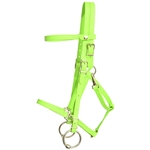 ****PHOTO SAMPLE*** $30 Apple Green Beta Biothane with Green Thread Quick Change Halter Bridle Headstall - Horse Size