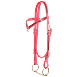****PHOTO SAMPLE*** $25 Bubblegum Pink Beta Biothane with Maroon Overlay Western Headstall with Center Ring Browband - Horse Size