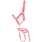 ****PHOTO SAMPLE*** $25 Bubblegum Pink Beta Biothane with Gray Overlay Halter with Matching Lead - Horse Size