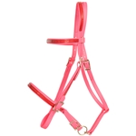 ****PHOTO SAMPLE*** $25 Bubblegum Pink Beta Biothane with Red Overlay Picnic Bridle Headstall - Horse Size