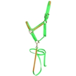 ****PHOTO SAMPLE*** $30 LIme Green Beta Biothane with Orange Overlay Halter & Matching Lead - Horse Size