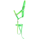 ****PHOTO SAMPLE*** $30 Lime Green Beta Biothane with Safety Yellow Overlay Halter with Matching Lead - Horse Size