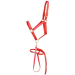 ****PHOTO SAMPLE*** $30 Red Beta Biothane with Pink Overlay Halter & Matching Lead - Horse Size