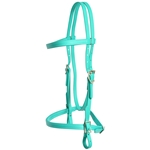 ****PHOTO SAMPLE*** $25 Turquoise Beta Biothane English Headstall - Horse Size
