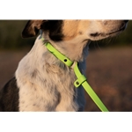 Beta BioThane Dog Slip Lead/Leash
