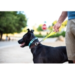 REFLECTIVE Beta BioThane Dog Handle