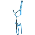 ****PHOTO SAMPLE*** $30 Light Blue Beta Biothane with Black Overlay Halter with Matching Lead - Horse Size