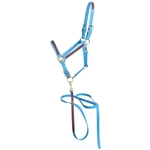 ****PHOTO SAMPLE*** $30 Light Blue Beta Biothane with Maroon Overlay Halter with Matching Lead - Horse Size