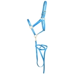 ****PHOTO SAMPLE*** $30 Light Blue Beta Biothane with Light Blue Overlay Halter with Matching Lead - Horse Size