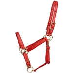 BETA BIOTHANE Safety Halter with Breakaway Leather Crown