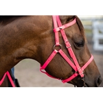 ****FLASH SALE**** $75 Any Color, Any Size Halter Bridle with Bit Hangers and Matching Reins made from Beta Biothane
