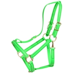 HALTER & LEAD made from BETA BIOTHANE (Solid Colored)