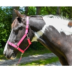 BETA BIOTHANE Safety Halter with Breakaway Leather Crown