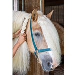 BETA BIOTHANE Safety Halter with Breakaway Leather Crown