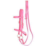 ****PHOTO SAMPLE*** $15 Hot Pink Nylon English Bridle & Matching Reins - Horse Size