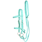 ****PHOTO SAMPLE*** $20 Turquoise Nylon English Bridle & Matching Reins - Horse Size