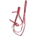 ****PHOTO SAMPLE*** $25 Burgundy Nylon Halter Bridle with Bit Hangers and Matching Reins - Horse Size